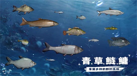 天天钓鱼水族馆收入如何计算 天天钓鱼水族馆收入计算方法