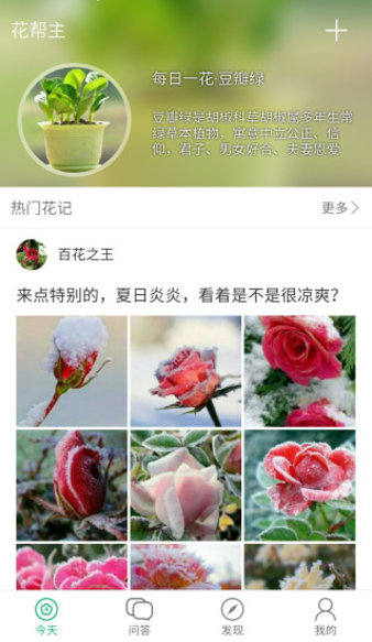 花帮主app