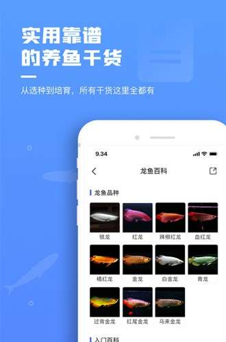 鲲天下app