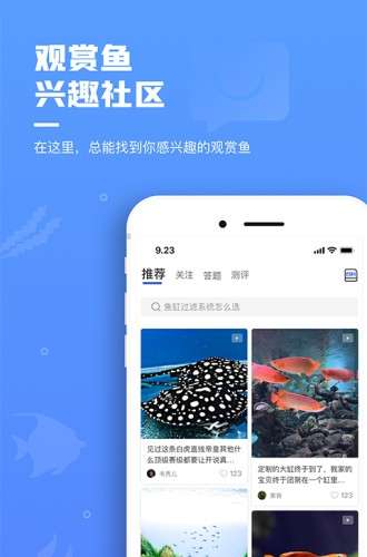 鲲天下app